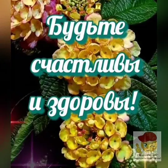 С наилучшими пожеланиями🥰