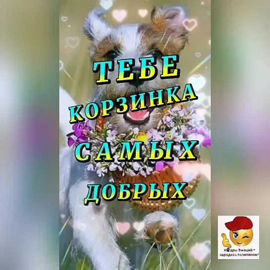 Для Вас😘