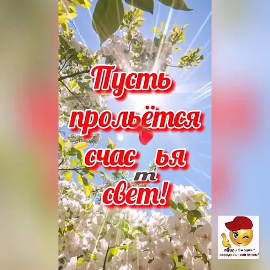 Добрый день✨✨✨