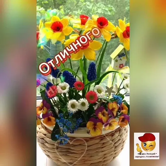 Замечательного дня✨✨✨