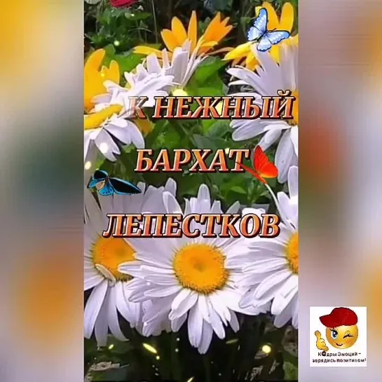 Хорошего денёчка🤩