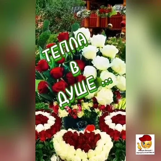 Хорошего денёчка🌺🌺🌺