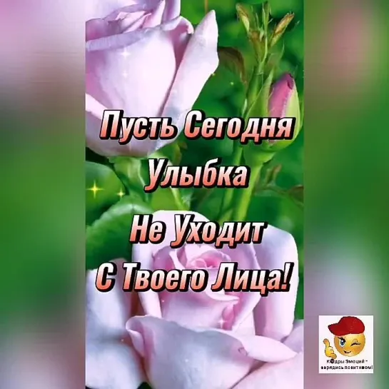 С наилучшими пожеланиями 🥰