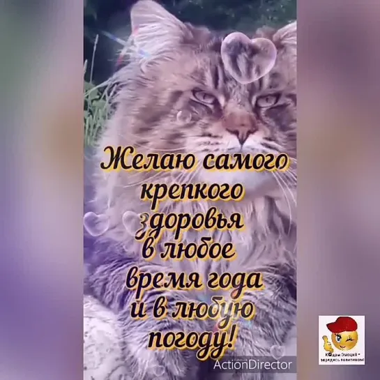 Доброго дня🥰