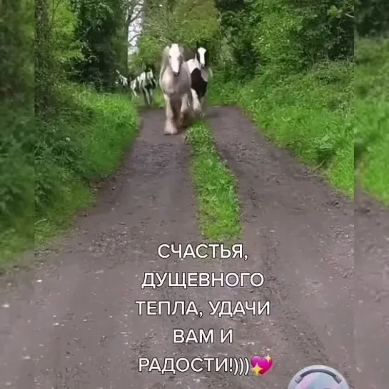 С наилучшими пожеланиями🥰