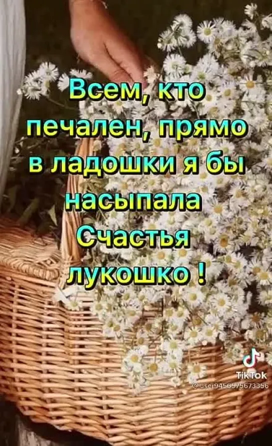 С наилучшими пожеланиями✨✨✨