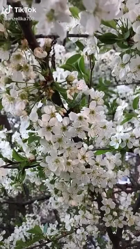 Счастливого дня✨✨✨