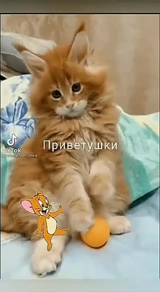 Чудесного настроения🥰