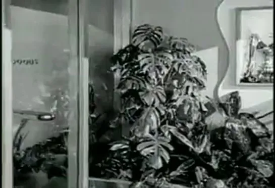 Amor en conserva (Love happy, 1949)