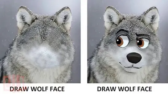 Draw wolf face (Jib Kodi)