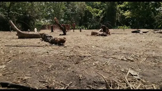 Апокалипсис / Apocalypto (2006) HD