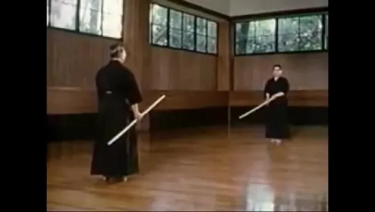 Shindo Muso Ryu Jodo