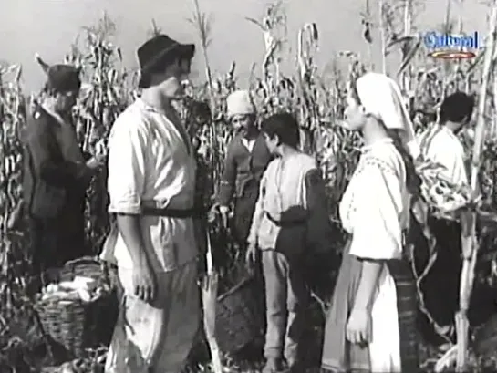 •  Ciulinii Bărăganului    |*Dramă|*1957|*film.Ro|