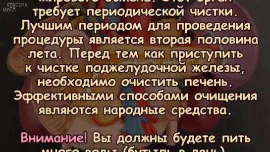 ОЧИЩЕНИЕ ПОДЖЕЛУДОЧНОЙ ЖЕЛЕЗЫ