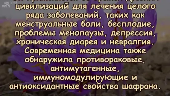 Эта ПРЯНОСТЬ может ПОЛНОСТЬЮ ВОССТАНОВИТЬ ЗРЕНИЕ