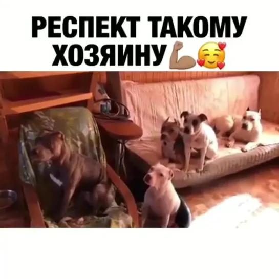 Респект такому хозяину!