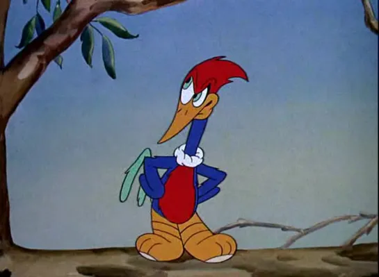 Woody Woodpecker