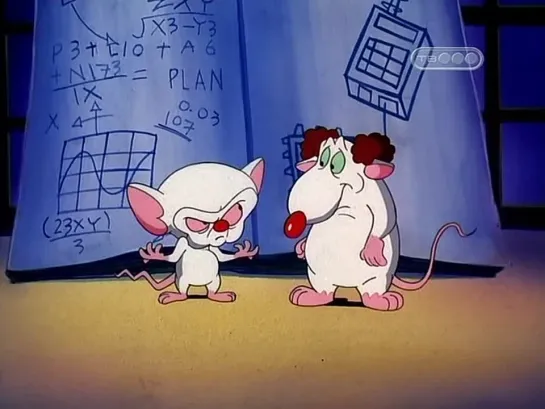 s3e38.Pinky.N.The.Brain.N.Larry