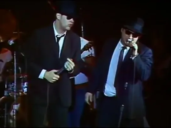 The Blues Brothers   Flip, Flop u0026 Fly   12311978   Winterland (Official)