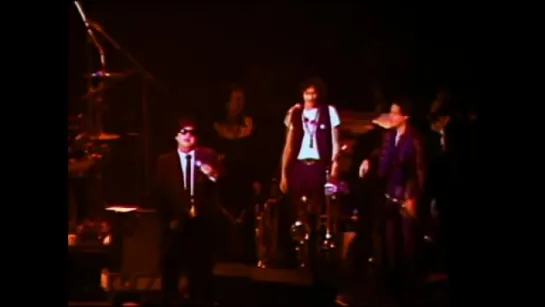 The Blues Brothers   Full Concert   123178   Winterland (OFFICIAL)