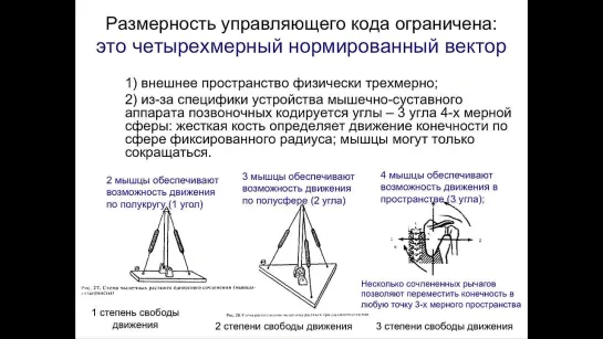 Формы мозгового кодирования и уровни обратных связей - Александр Вартанов