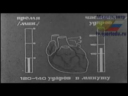 Метод круговой тренировки боксёров СССР (1981)