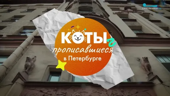 Коты, прописавшиеся в Петербурге. Десятый выпуск