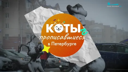 Коты, прописавшиеся в Петербурге. Восьмой выпуск