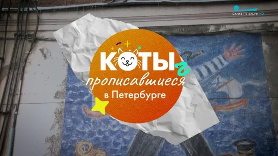 Коты, прописавшиеся в Петербурге. Второй выпуск