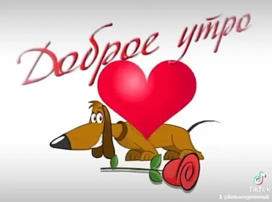 Доброе утро