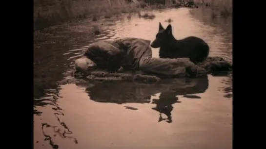 Andrei Tarkovsky, Cinema of the Soul