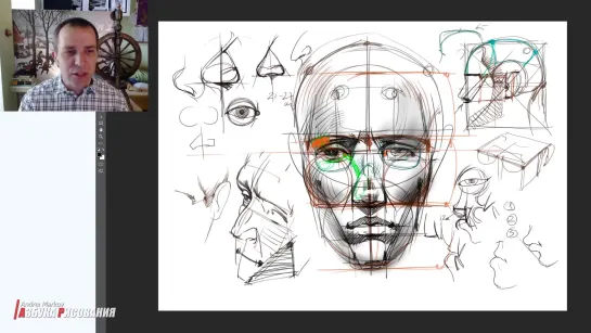 Как рисовать портреты и их анатомию