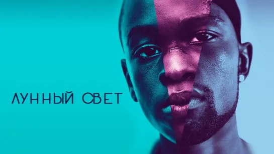 Лyнный Cвет (2016)