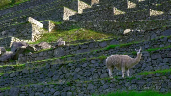 Peru 8K HDR 60FPS (FUHD)