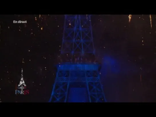 Feu d'artifice (Paris 2014)