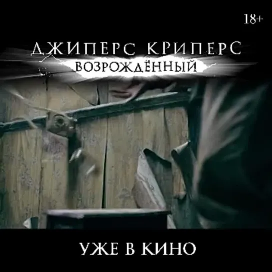 Video by Сатурн.mp4