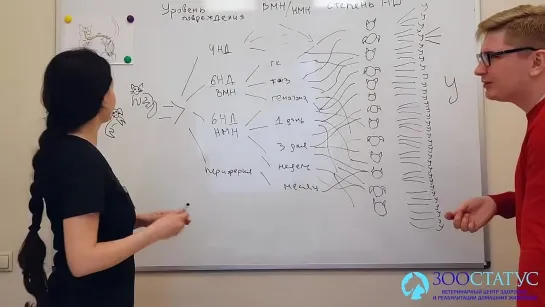 Поговорим о спинальниках — «Зоостатус полезный»