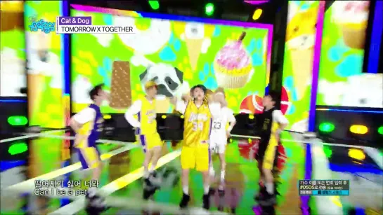 190427 TXT - Cat  Dog @ Show Music core