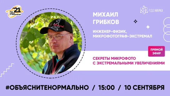 #Объяснитенормально | Секреты микрофото с экстремальными увеличениями | Михаил Грибков