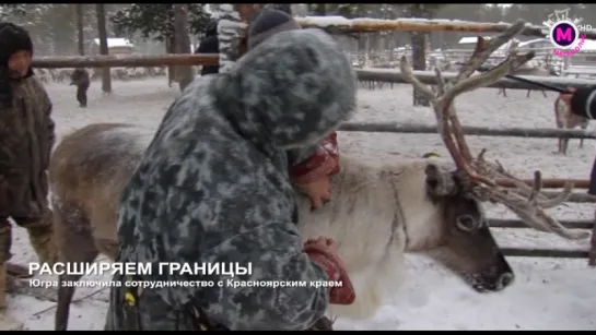 В Югре заключили важное соглашение о сотрудничестве