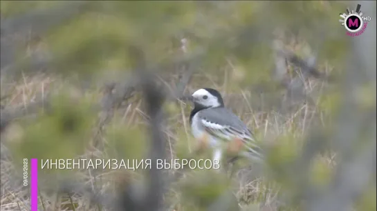 Мегаполис – Инвентаризация выбросов – Югра