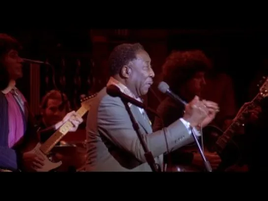 Muddy Waters & The Band - Mannish Boy (live)