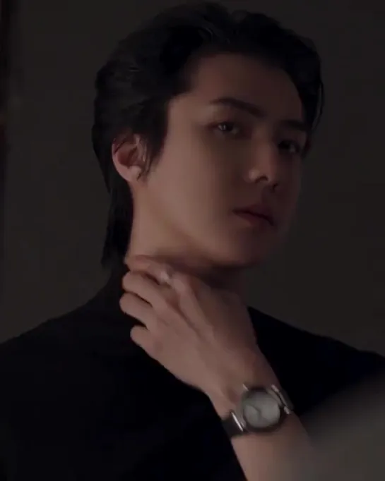 [VIDEO] Sehun x Pasha De Cartier CF