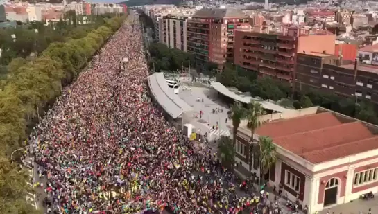 Более 500 тысяч человек в Барселоне на акции протеста [Тупой Подкат]