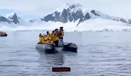 Видео от Взгляни на мир | путешествия, арт, фото, туризм