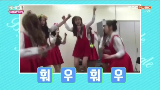 151014 Show Champion 러블리즈(Lovelyz) 비글비글 Cut