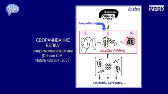 Финкельштейн А.В. Проблема самоорганизации белковых молекул