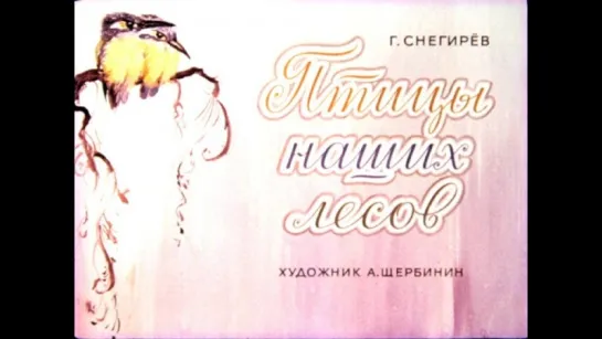 Птицы наших лесов (Г. Снегирёв).  Птенцы – хитрецы (Н. Сладков)