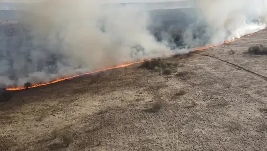 Видео от Типичный Междуреченск Мыски Новости 🅥