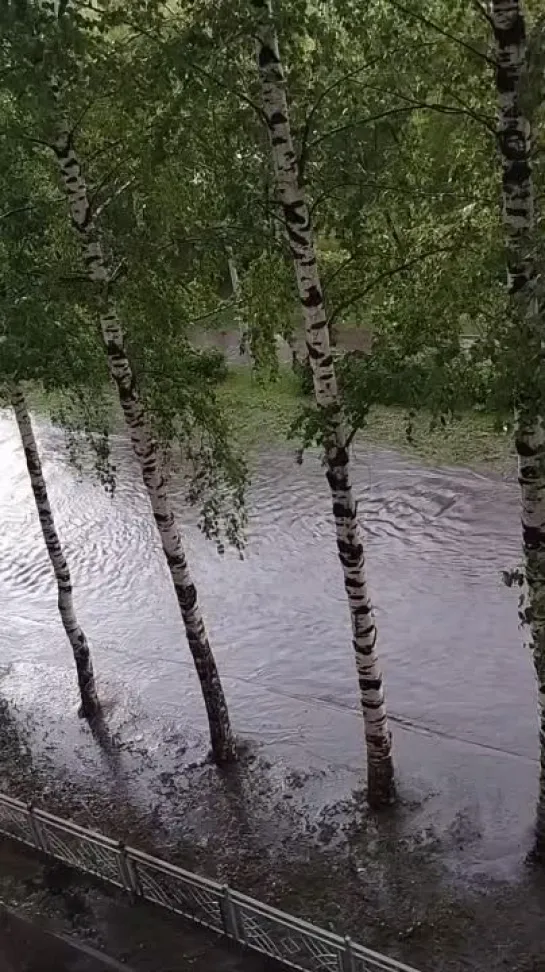 Видео от Типичный Междуреченск Мыски Новости 🅥